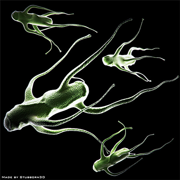 Microscopic Collection