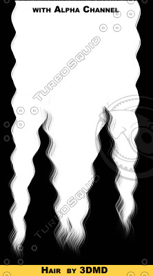 brownHair_005.tga