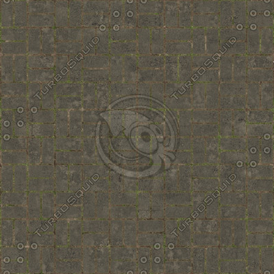 Paving blocks #02 Texture