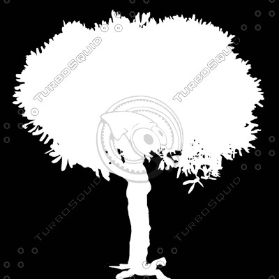 Tree_N_01.tga