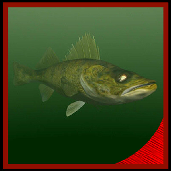 max largemouth fish - Freshwater fish collection by gauthier12