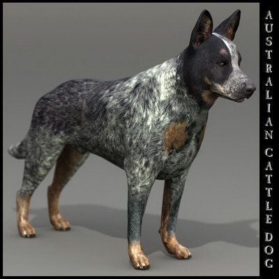 dog 4 3d model - Dog Collection (4) by Massimo Righi