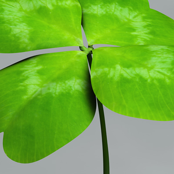 Clover_c4d
