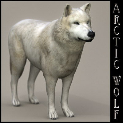 dog 4 3d model - Dog Collection (4) by Massimo Righi