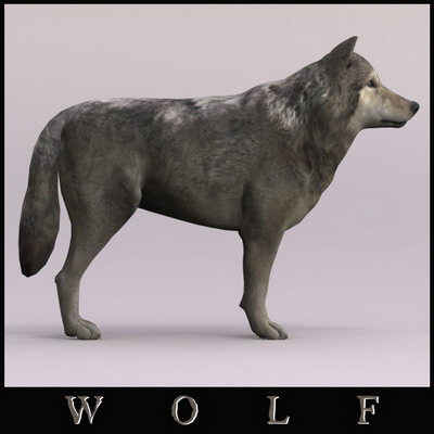 dog 4 3d model - Dog Collection (4) by Massimo Righi