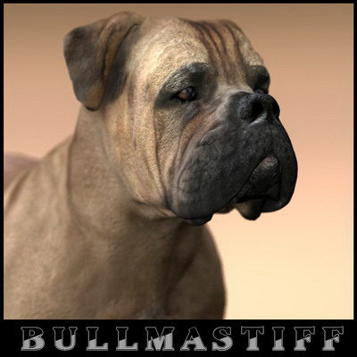 dog 4 3d model - Dog Collection (4) by Massimo Righi