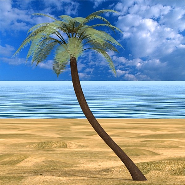 3d palm - Palm 02 by fabelar