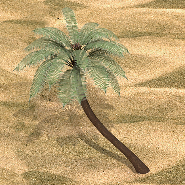 3d palm - Palm 02 by fabelar
