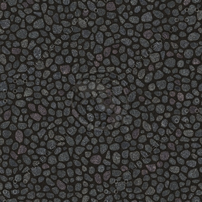 Paving stones #02 Texture