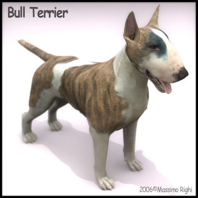 3d extensive dog model - 12 Dogs Collection (1) by Massimo Righi