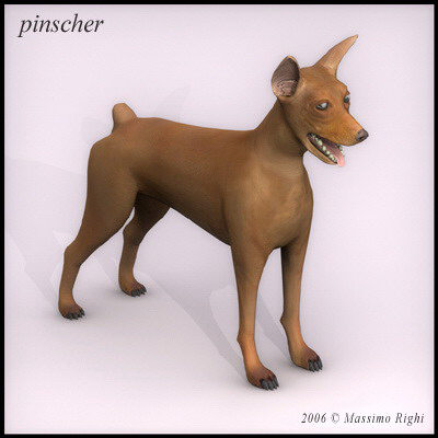 3d extensive dog model - 12 Dogs Collection (1) by Massimo Righi