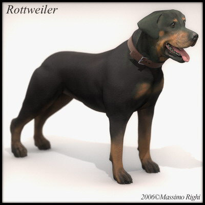 3d extensive dog model - 12 Dogs Collection (1) by Massimo Righi