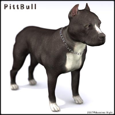 3d extensive dog model - 12 Dogs Collection (1) by Massimo Righi