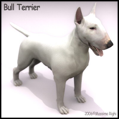 3d extensive dog model - 12 Dogs Collection (1) by Massimo Righi