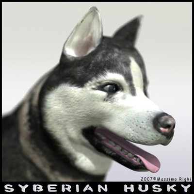 3d extensive dog model - 12 Dogs Collection (1) by Massimo Righi