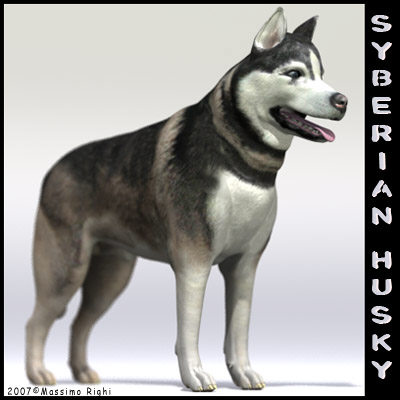 3d extensive dog model - 12 Dogs Collection (1) by Massimo Righi