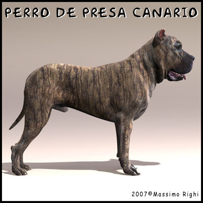 3d extensive dog model - 12 Dogs Collection (1) by Massimo Righi