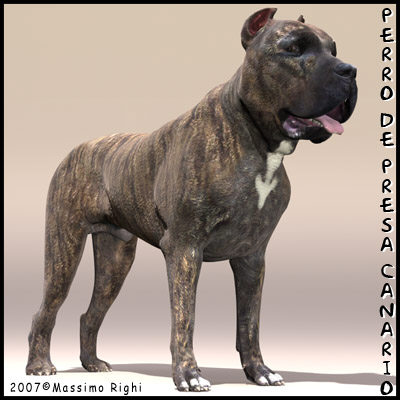 3d extensive dog model - 12 Dogs Collection (1) by Massimo Righi