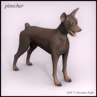 3d extensive dog model - 12 Dogs Collection (1) by Massimo Righi