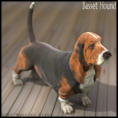 3d extensive dog model - 12 Dogs Collection (1) by Massimo Righi