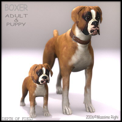 3d extensive dog model - 12 Dogs Collection (1) by Massimo Righi