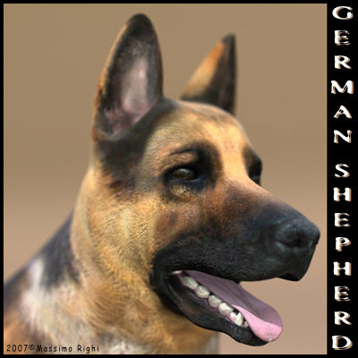 3d extensive dog model - 12 Dogs Collection (1) by Massimo Righi