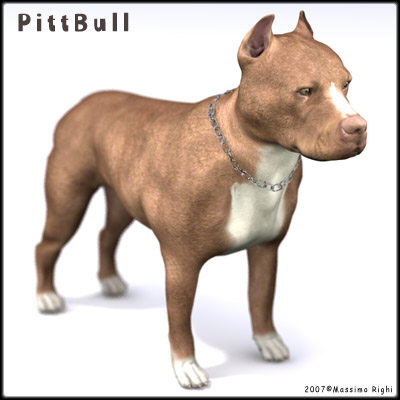 3d extensive dog model - 12 Dogs Collection (1) by Massimo Righi