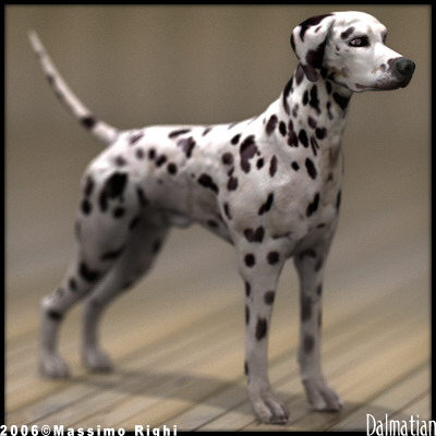 3d extensive dog model - 12 Dogs Collection (1) by Massimo Righi