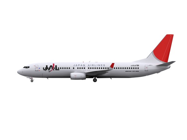 maya aircraft jal - 737-800 - JAL by foxxhound