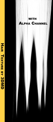 blondeHairTexture_010.tga