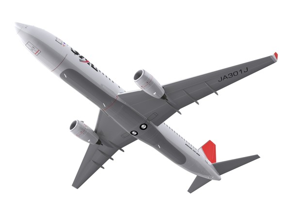 maya aircraft jal - 737-800 - JAL by foxxhound