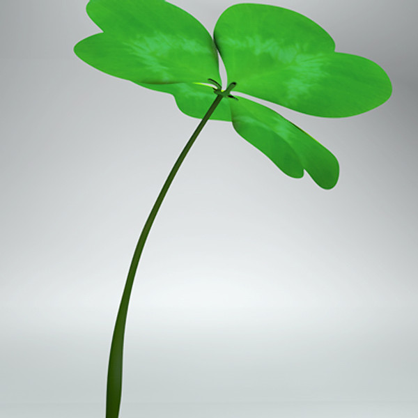 Clover_Obj/Fbx/3ds