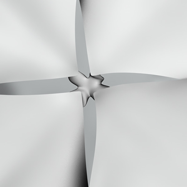 Clover_Obj/Fbx/3ds