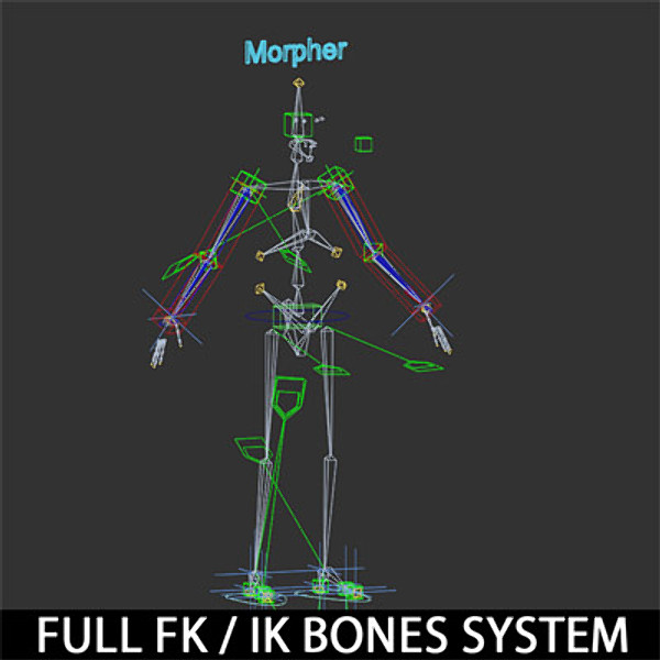 Anatomy Male Model Brian Rigged