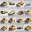 16 Military Vehicles