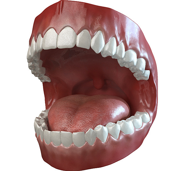 mouth animated 2.0 3D Models