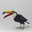 Toucan