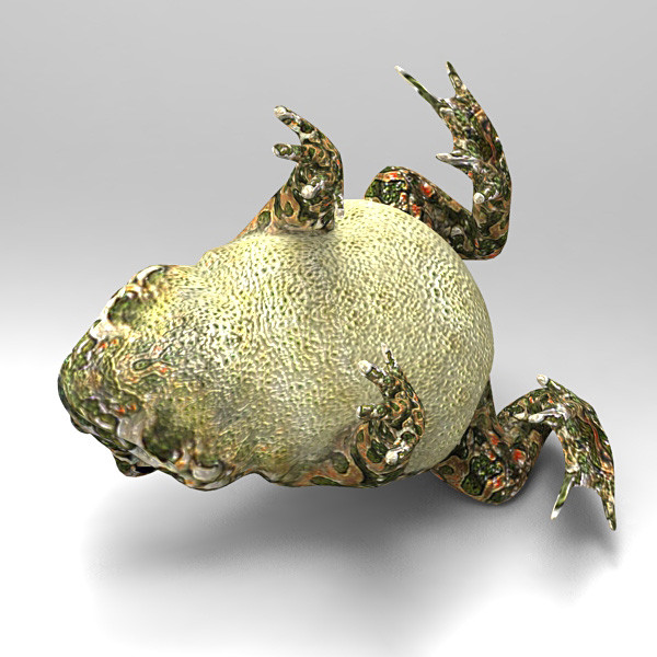 Toad