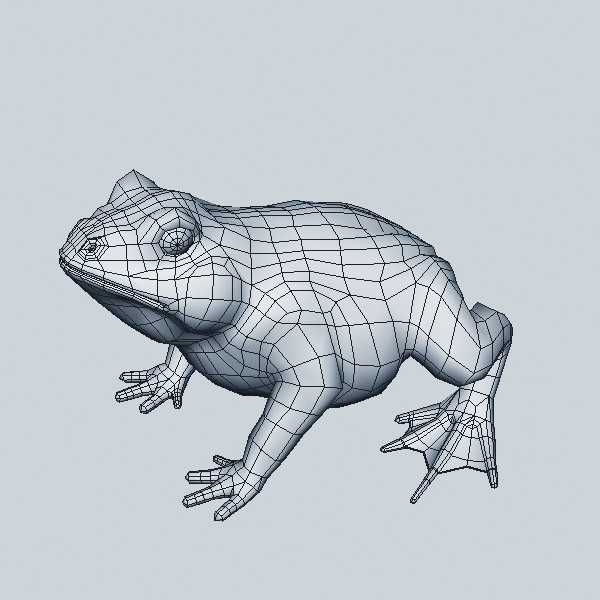 Toad