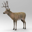 Elk