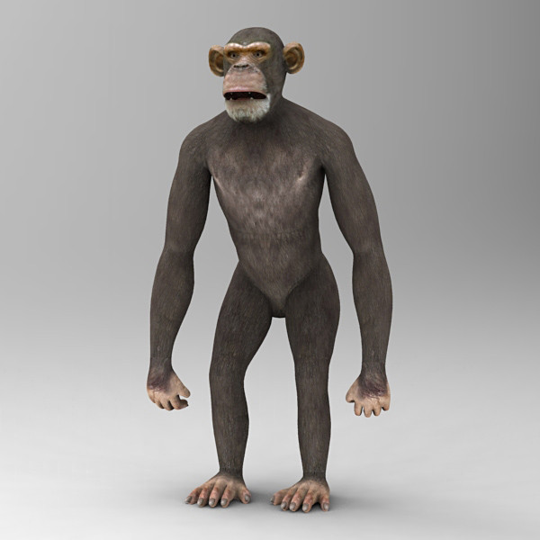 3d 3ds chimpanzee - Chimpanzee by 3d_Wanderer
