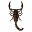 scorpion.max
