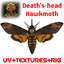 Acherontia atropos (Death