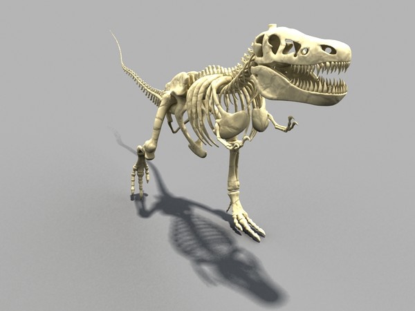 Dino T-Rex Skeleton