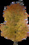tree68