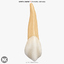 Canine Upper (3rd tooth) v4.0