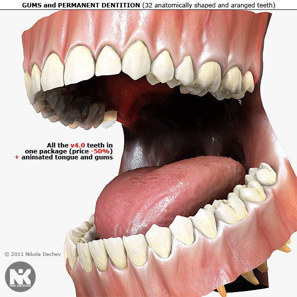 Tongue And Teeth