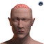 Brain and Head