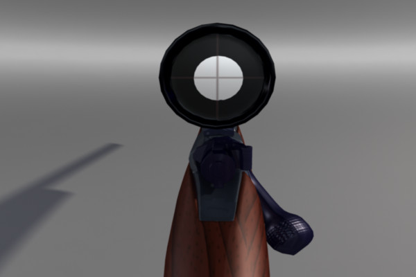 3d 243 deer rifle scope model - .243 Deer Rifle by toRigOrNotToRig