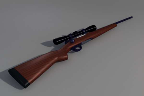 3d 243 deer rifle scope model - .243 Deer Rifle by toRigOrNotToRig
